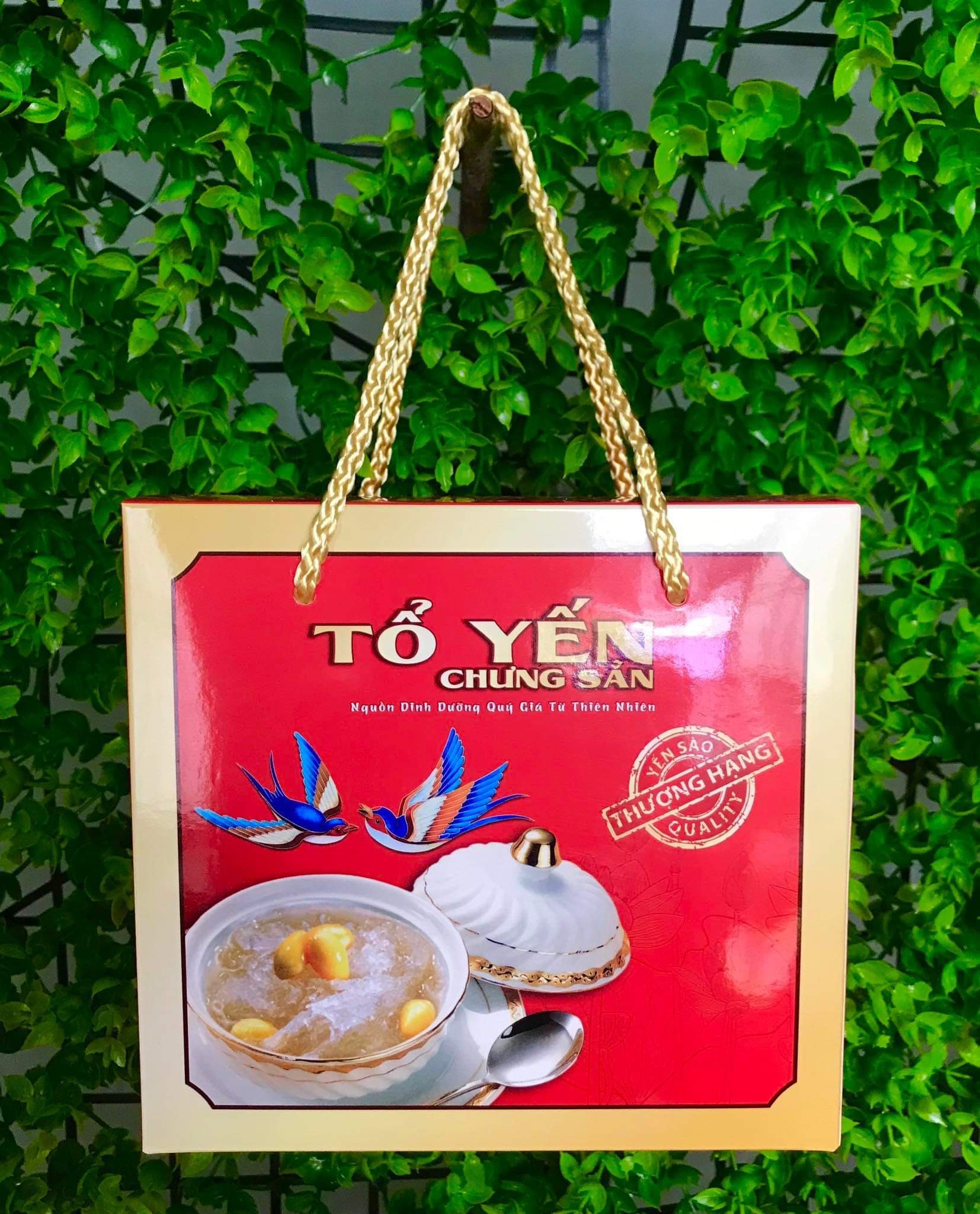 Set 10 túi đựng 6 hủ yến không khay siêu rẻ