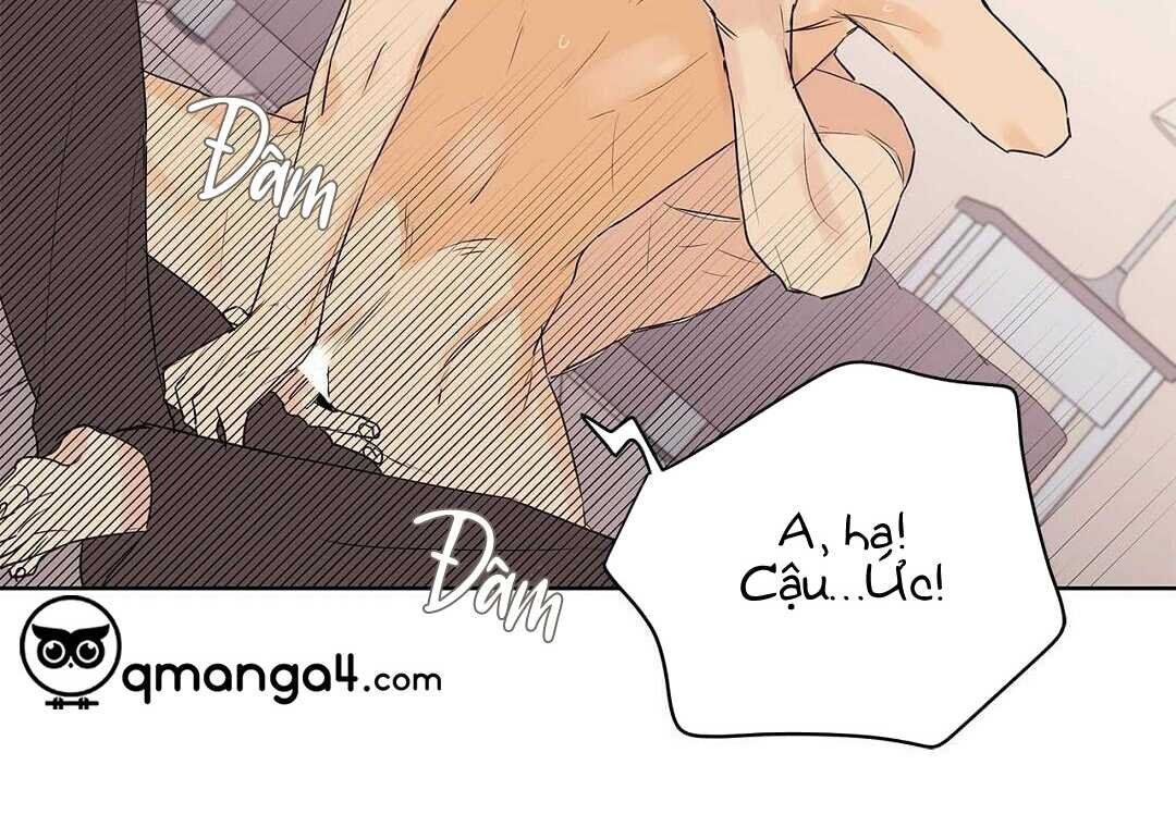 guide cấp b chapter 38 52