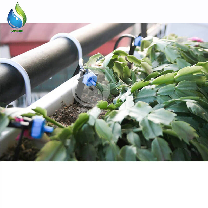 Bộ 10 béc nhỏ giọt bù áp 2L/H, 4L/H, 6L/H