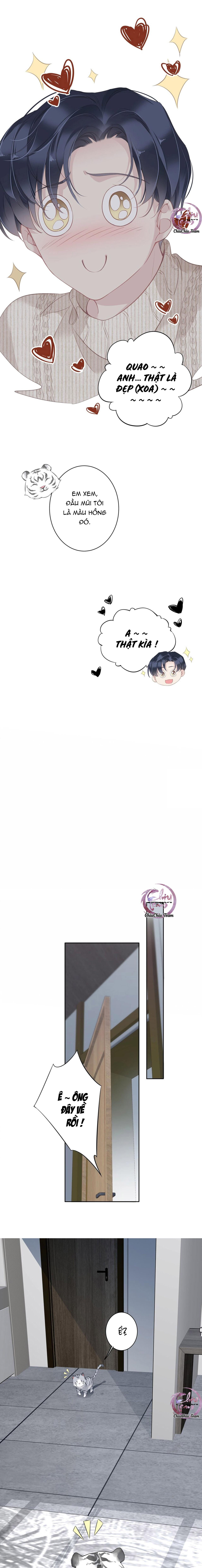 cuộc mai mối vượt giống loài chapter 35 5