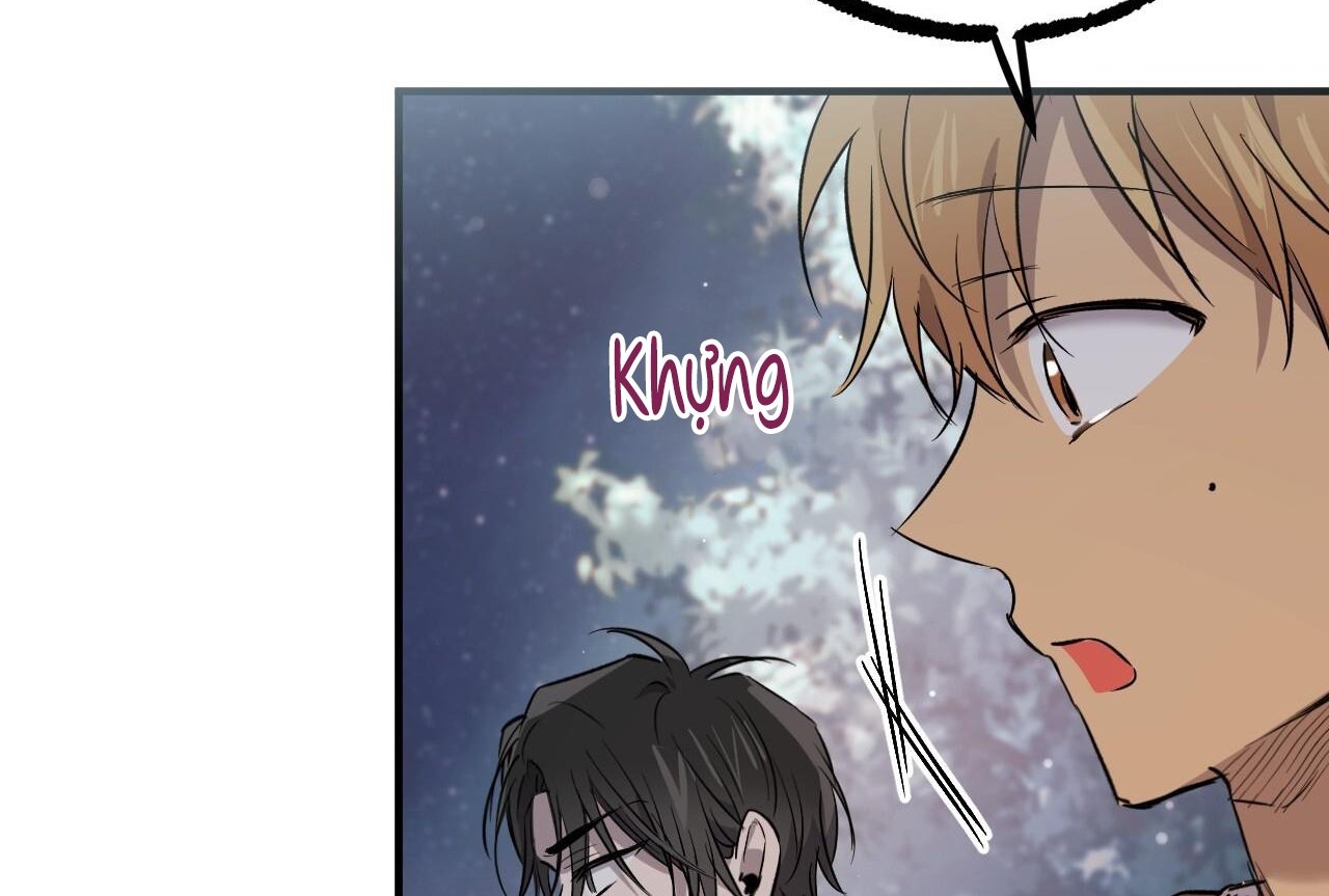 những chú thỏ của hapypy chapter 61 258