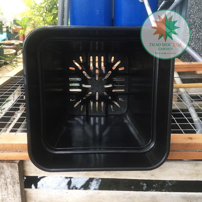 Set 5 cái Chậu Vuông Dày 18x23cm Trồng hoa, cây kiểng – Chất liệu nhựa PP, có độ dẻo,bền, chất lượng cao