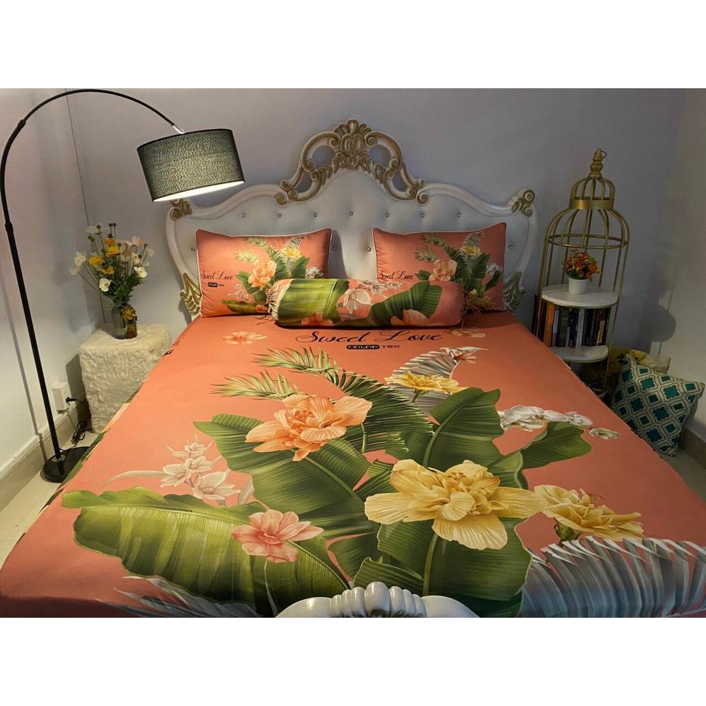 Bộ Drap+áo gối thun Ý 5D Cao Cấp , mát lạnh, thấm hút tốt.
