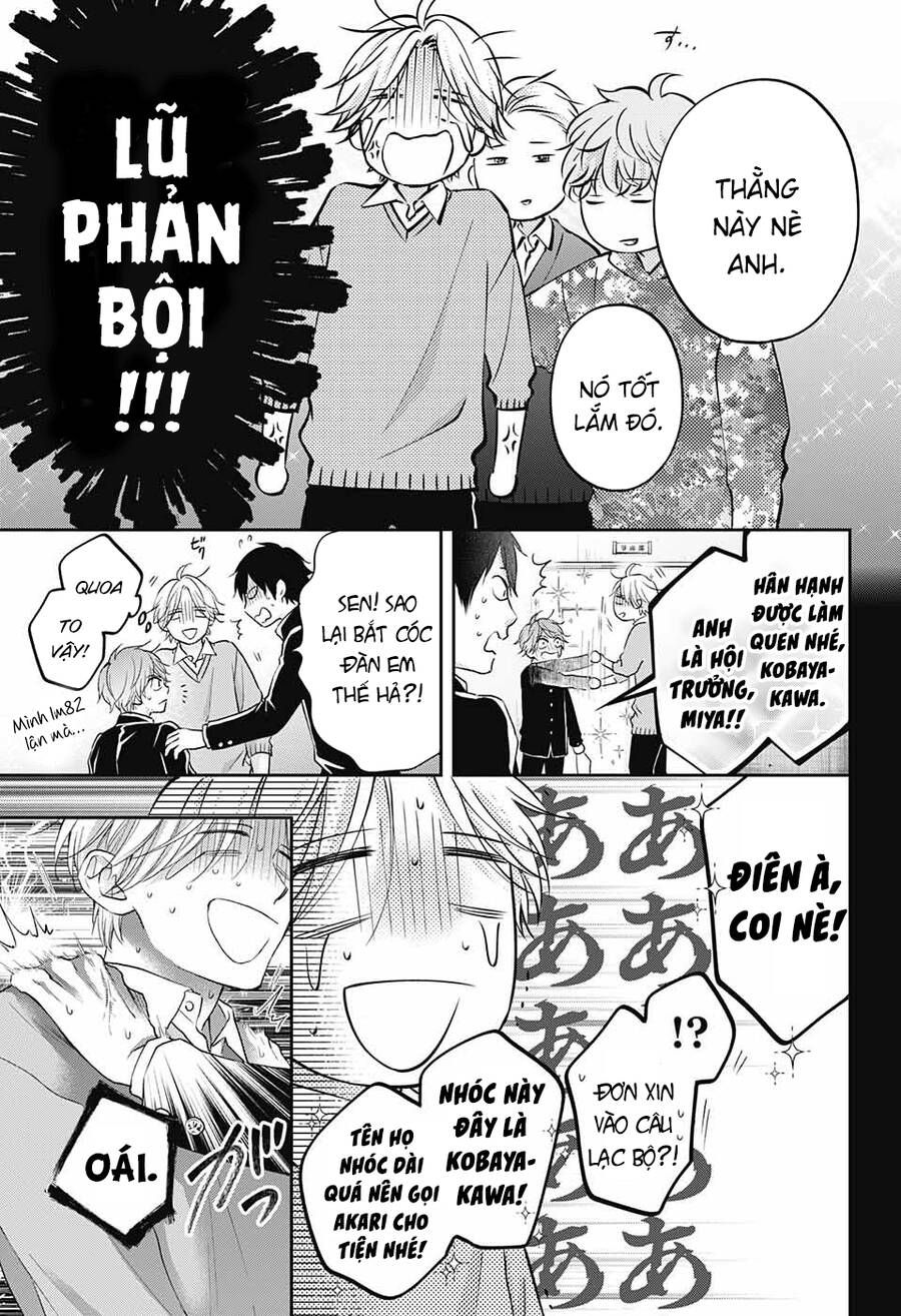 kono oto tomare! chapter 121 7