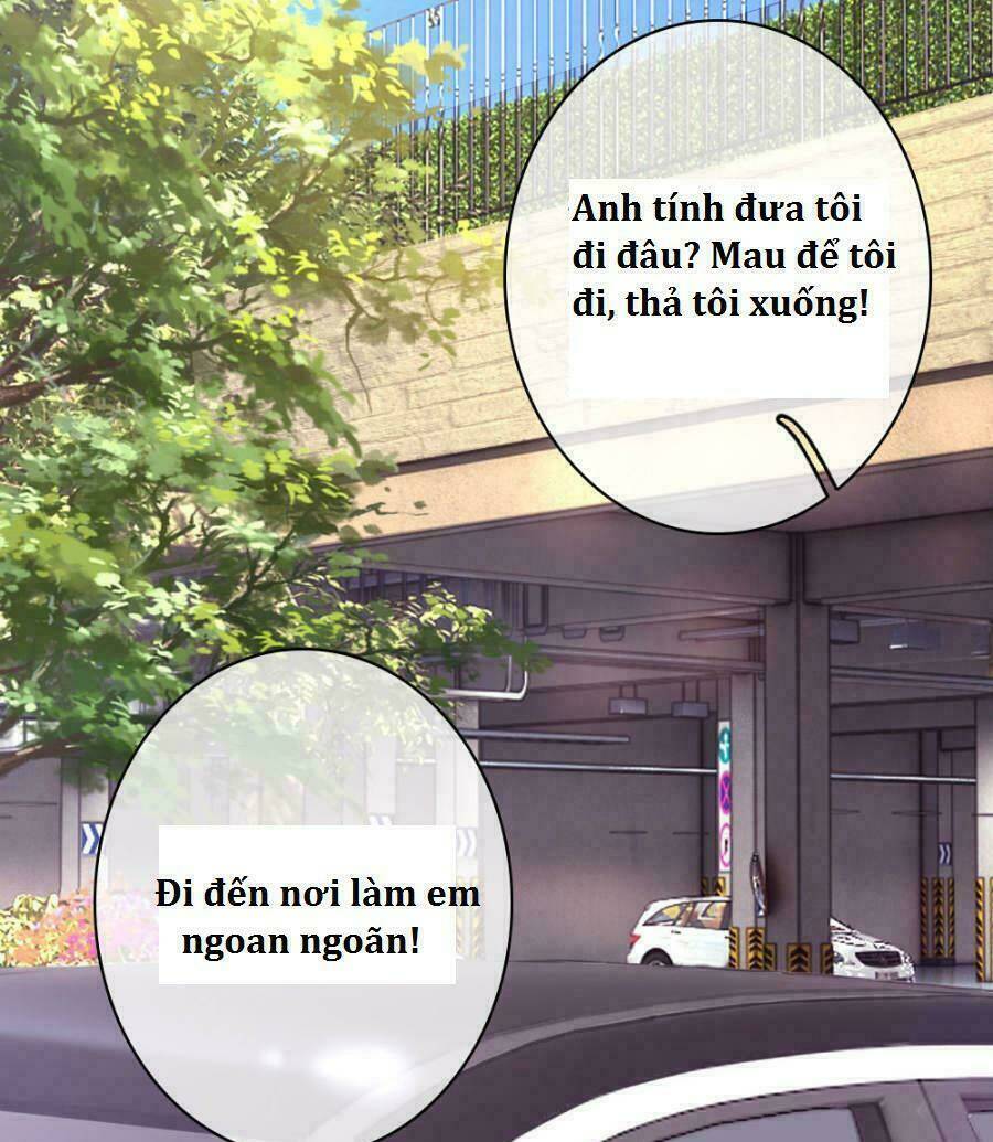 trùng sinh để trả thù chapter 45 28