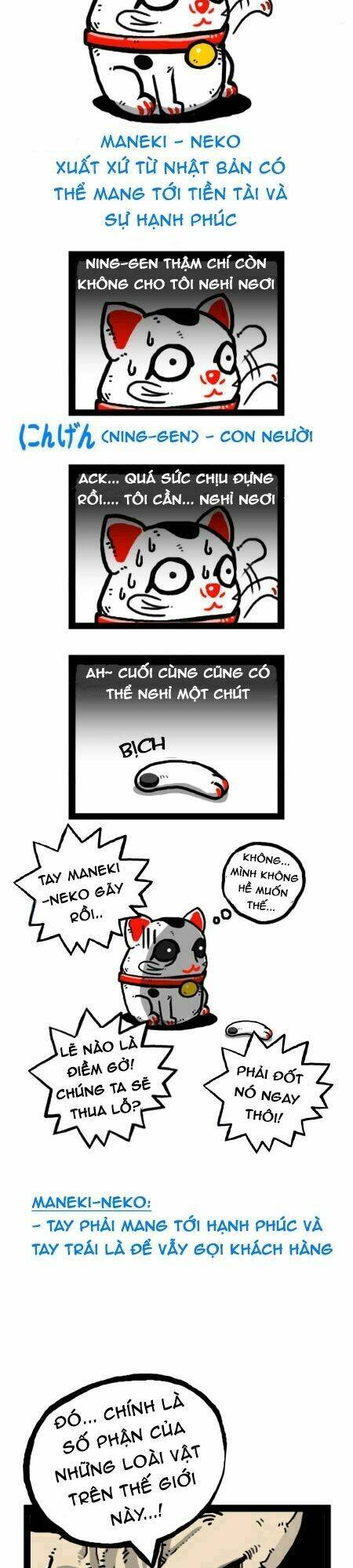 earth, human, and animal chapter 22 13