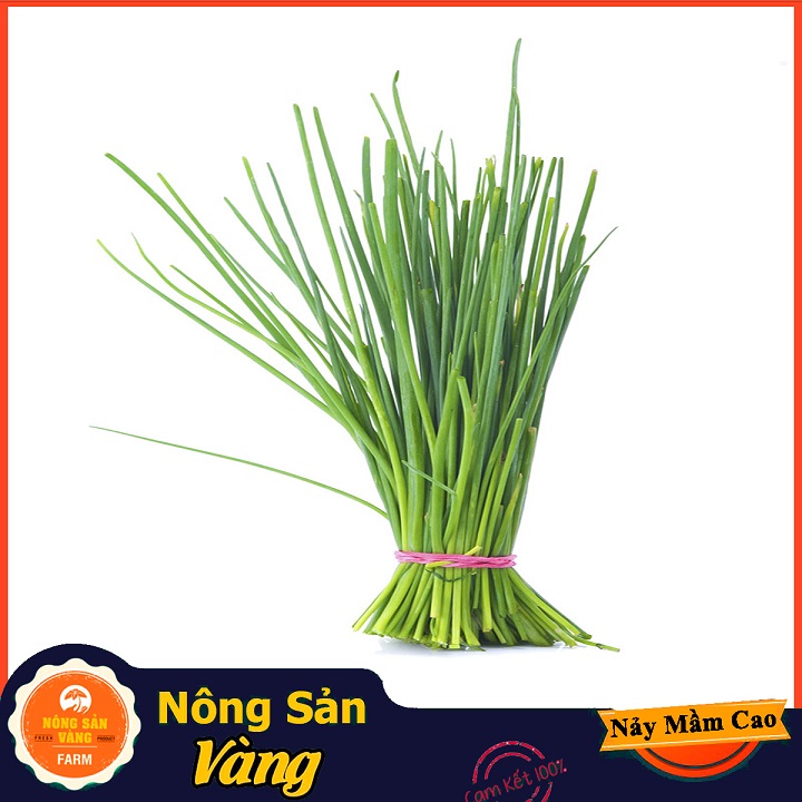 Hạt giống Rau Hẹ Ta ( Gói 1 Gram ) - Nông Sản Vàng