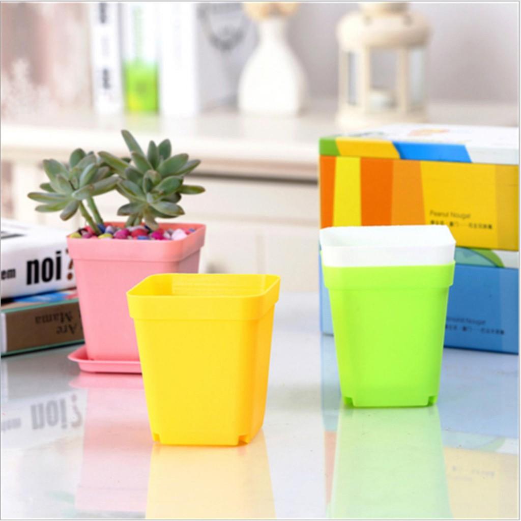 Chậu nhựa trồng cây để bàn, chậu sen đá, chậu xương rồng loại 1 nhiều màu, chậu nhựa mini siêu rẻ
