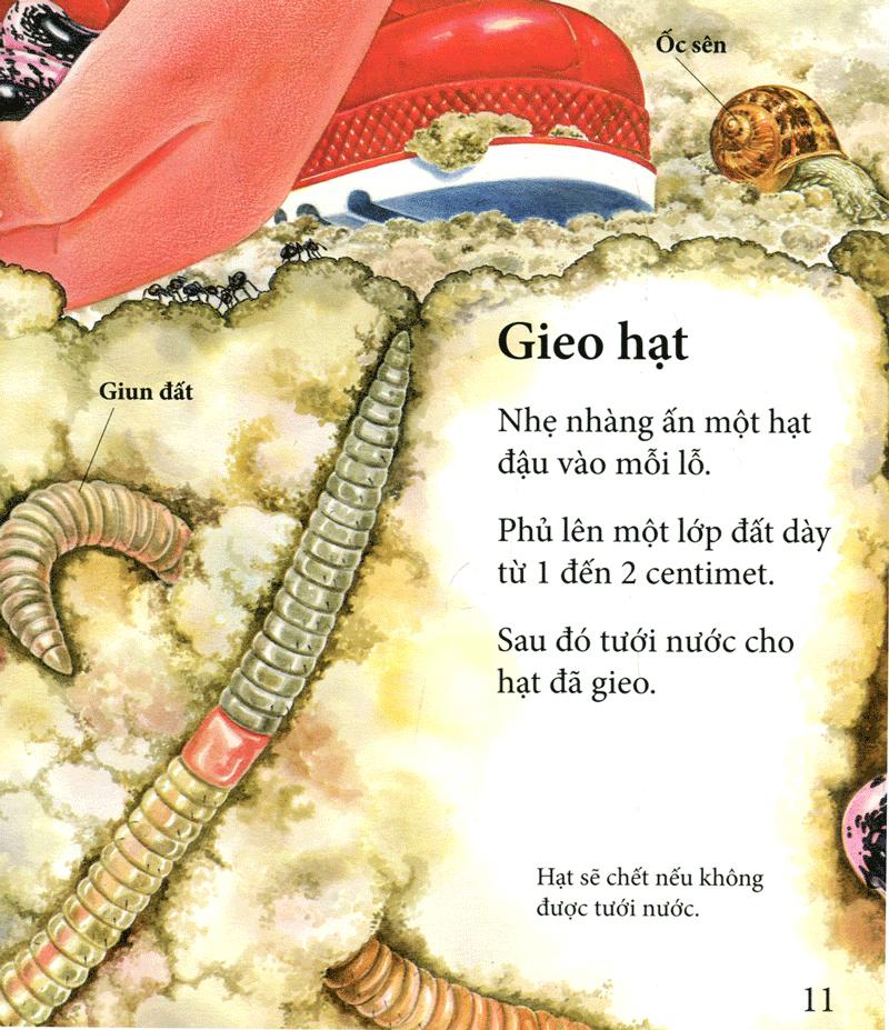 Cây Ơi Lớn Mau
