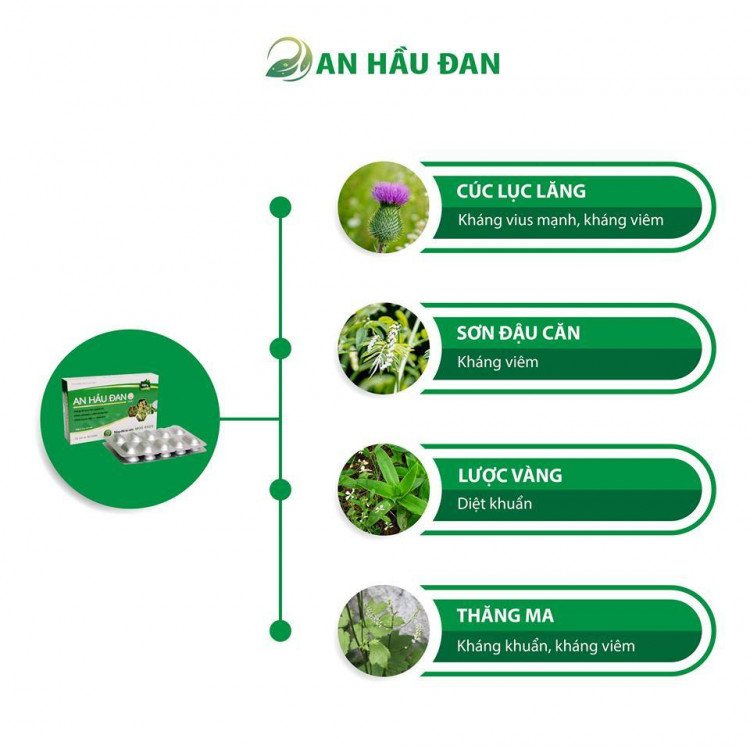An Hầu Đan - Sản phẩm hỗ trợ điều trị viêm Amidan cho cả gia đình 2 An Hầu Đan - Sản phẩm hỗ trợ điều trị viêm Amidan cho cả gia đình 2