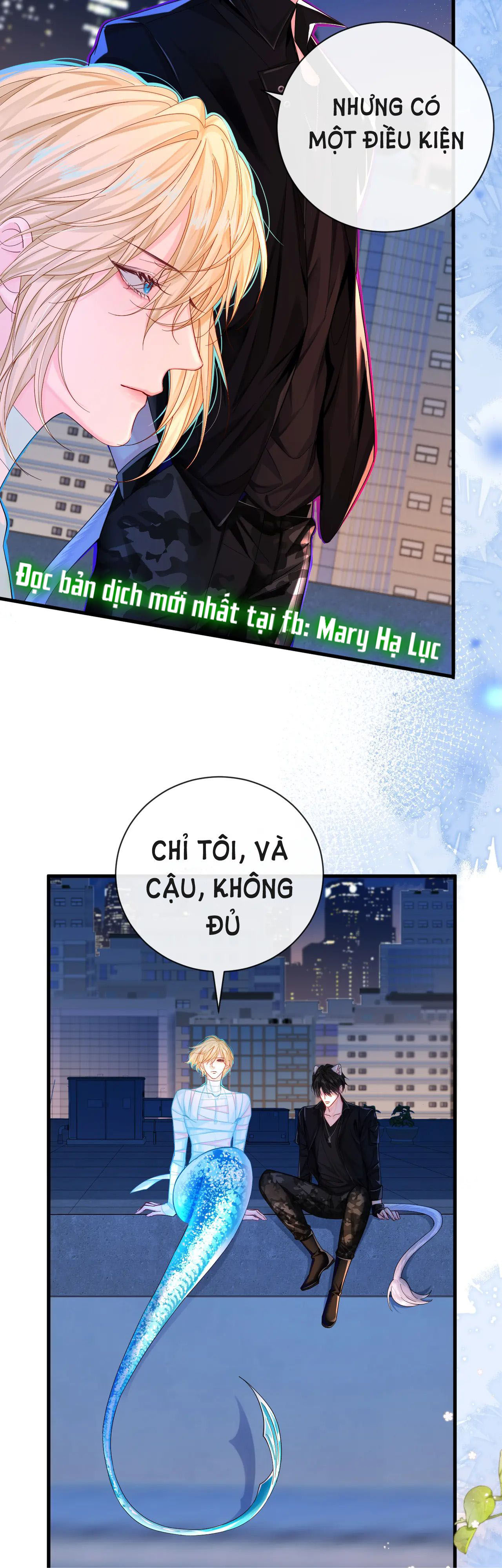 nhân ngư sa ngã chapter 43.2 6