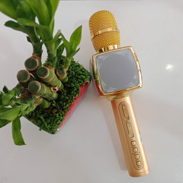 Micro Kiêm loa Bluetooth hát Karaoke SD-16( màu ngẫu nhiên) - hàng chính hãng