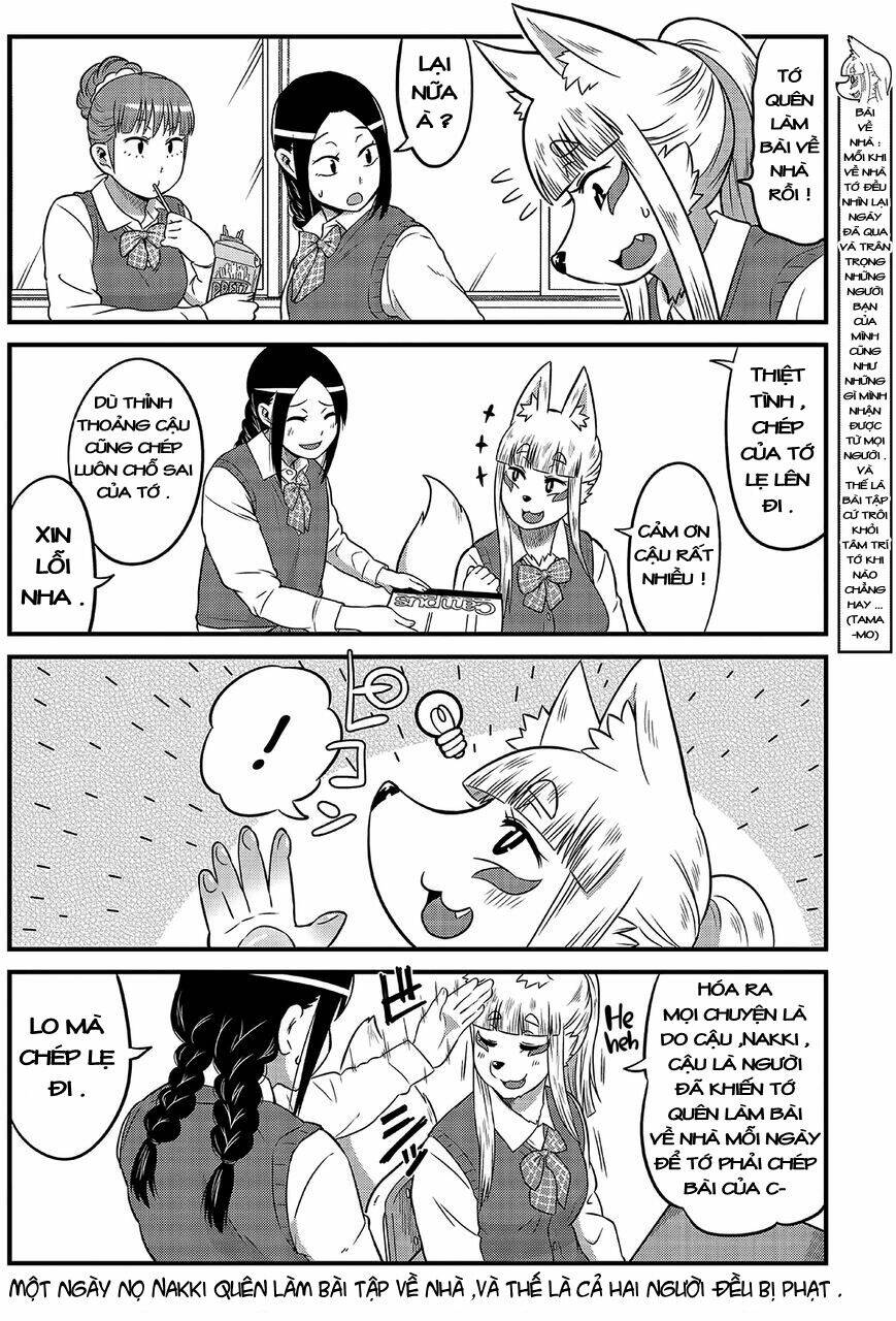 high school inari tamamo-chan ! chapter 6 9