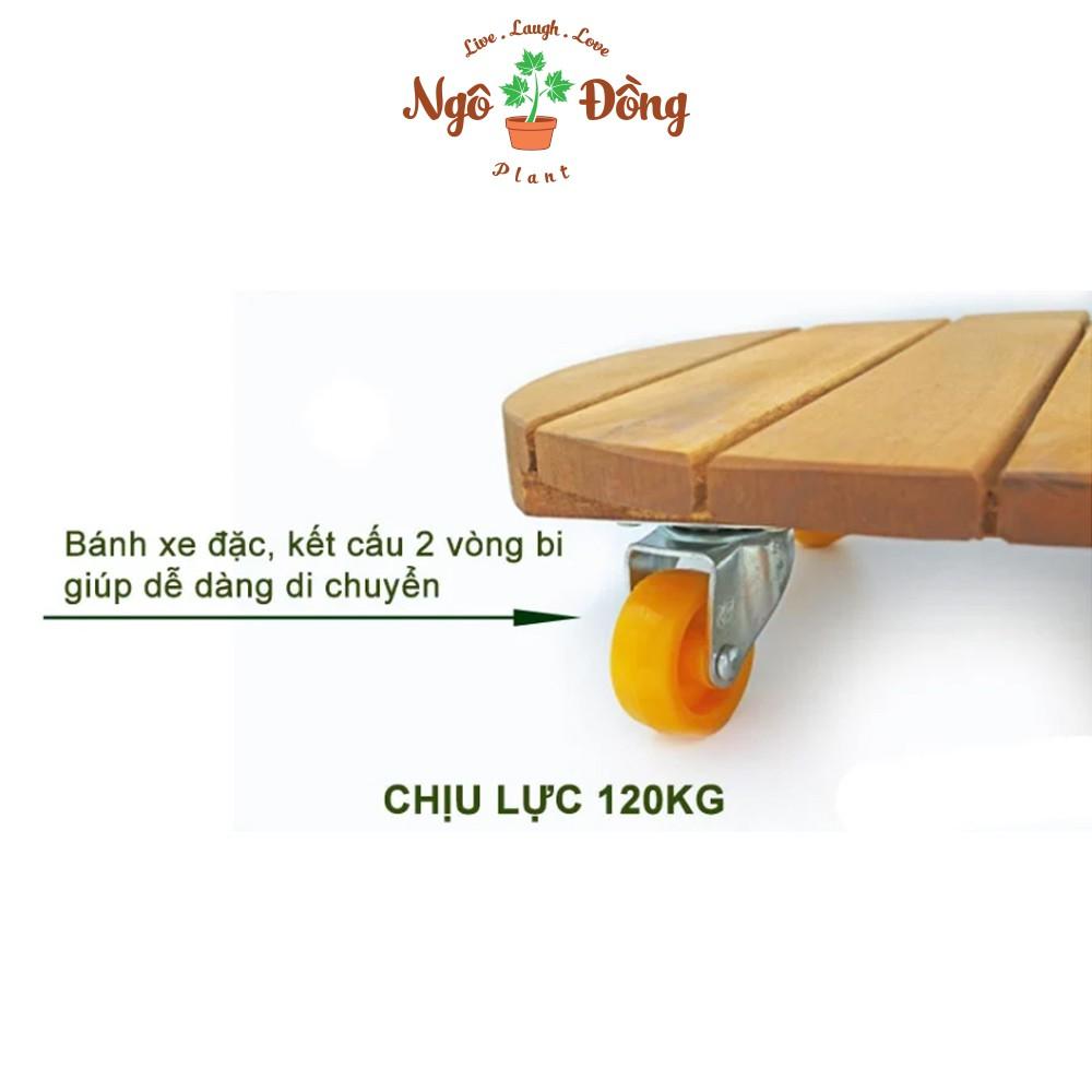 Đế Lót Chậu Cây Cảnh Gỗ Tràm Có Bánh Xe Tròn R30cm Chịu Lực Lên Đến 120kg