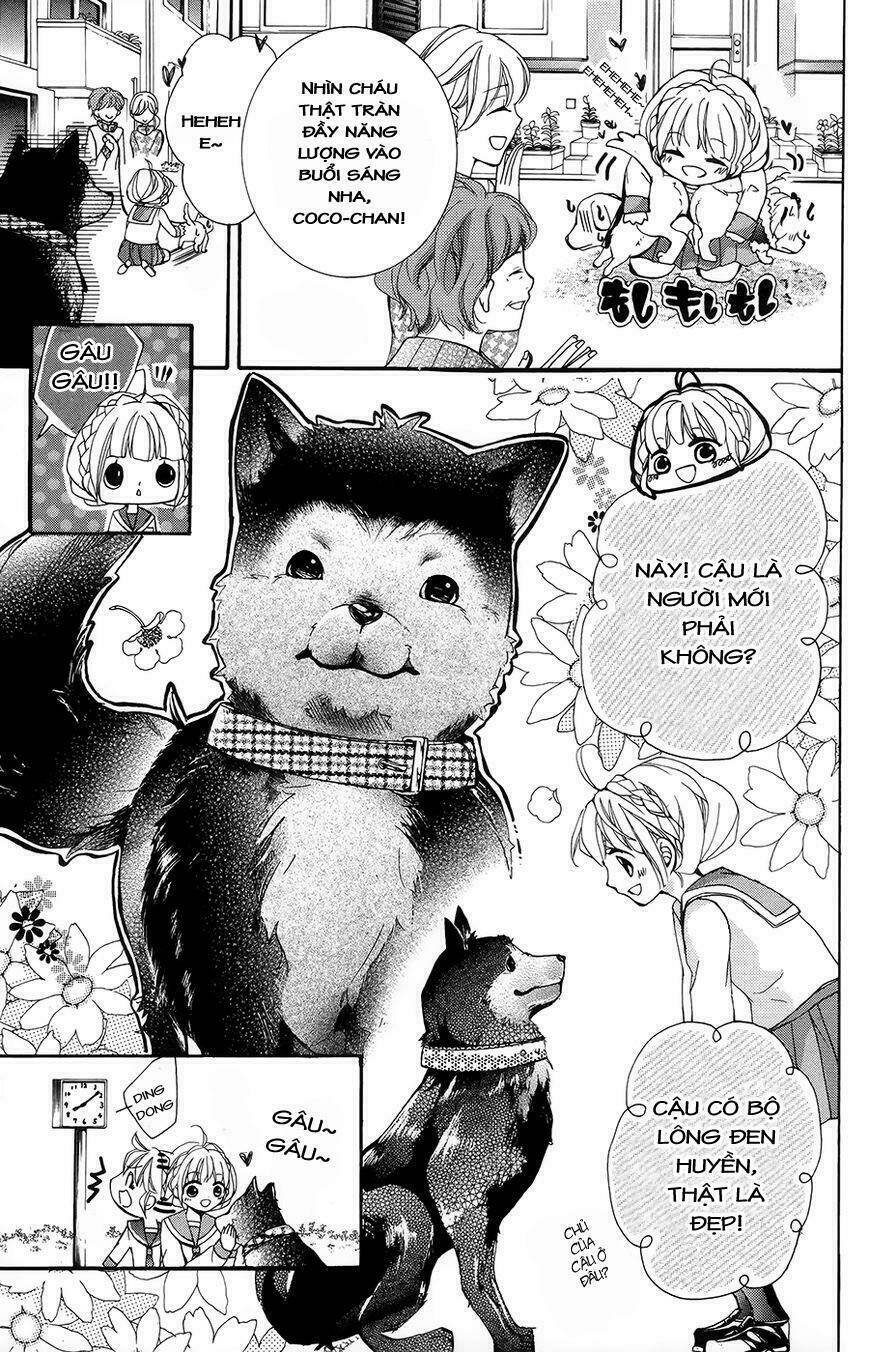 hyakki koiran chapter 1 6