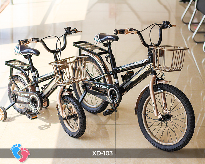 Xe đạp cao cấp cho bé BABY PLAZA XD-103