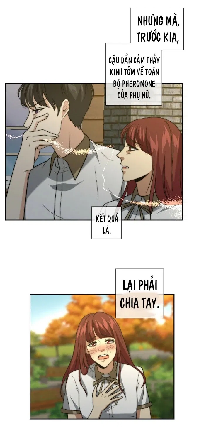 bí mật của omega k chapter 10 28