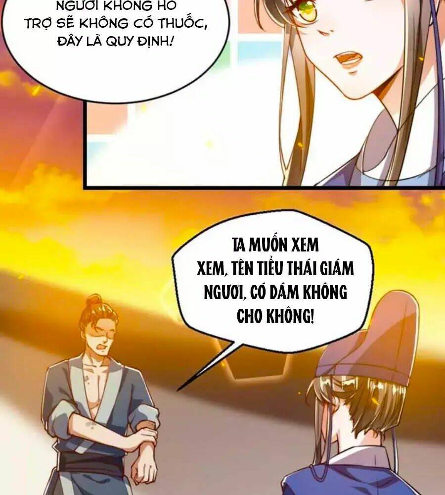 thái tử điện hạ, nô tài có hỉ rồi chapter 33 41