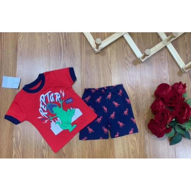 Bộ ngắn tay bé trai size nhí (form to