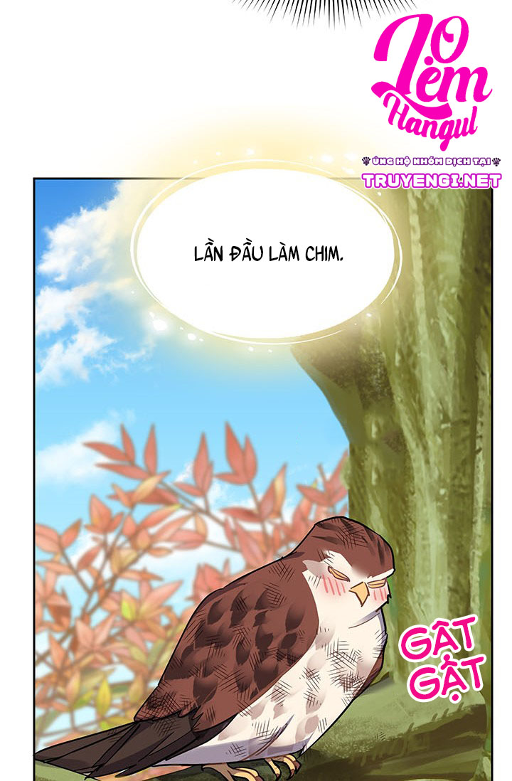 công chúa của loài chim chapter 7 38