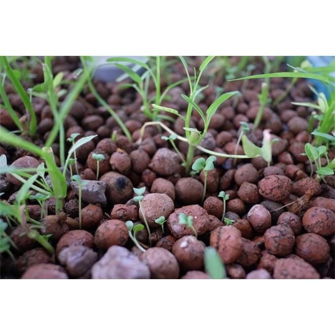 Sỏi nhẹ, đất nung trồng cây 1kg