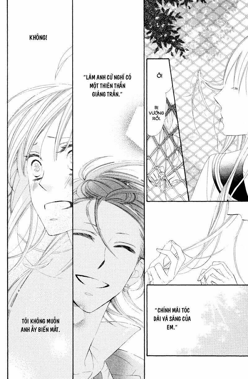 hoa trong bão chapter 8 20