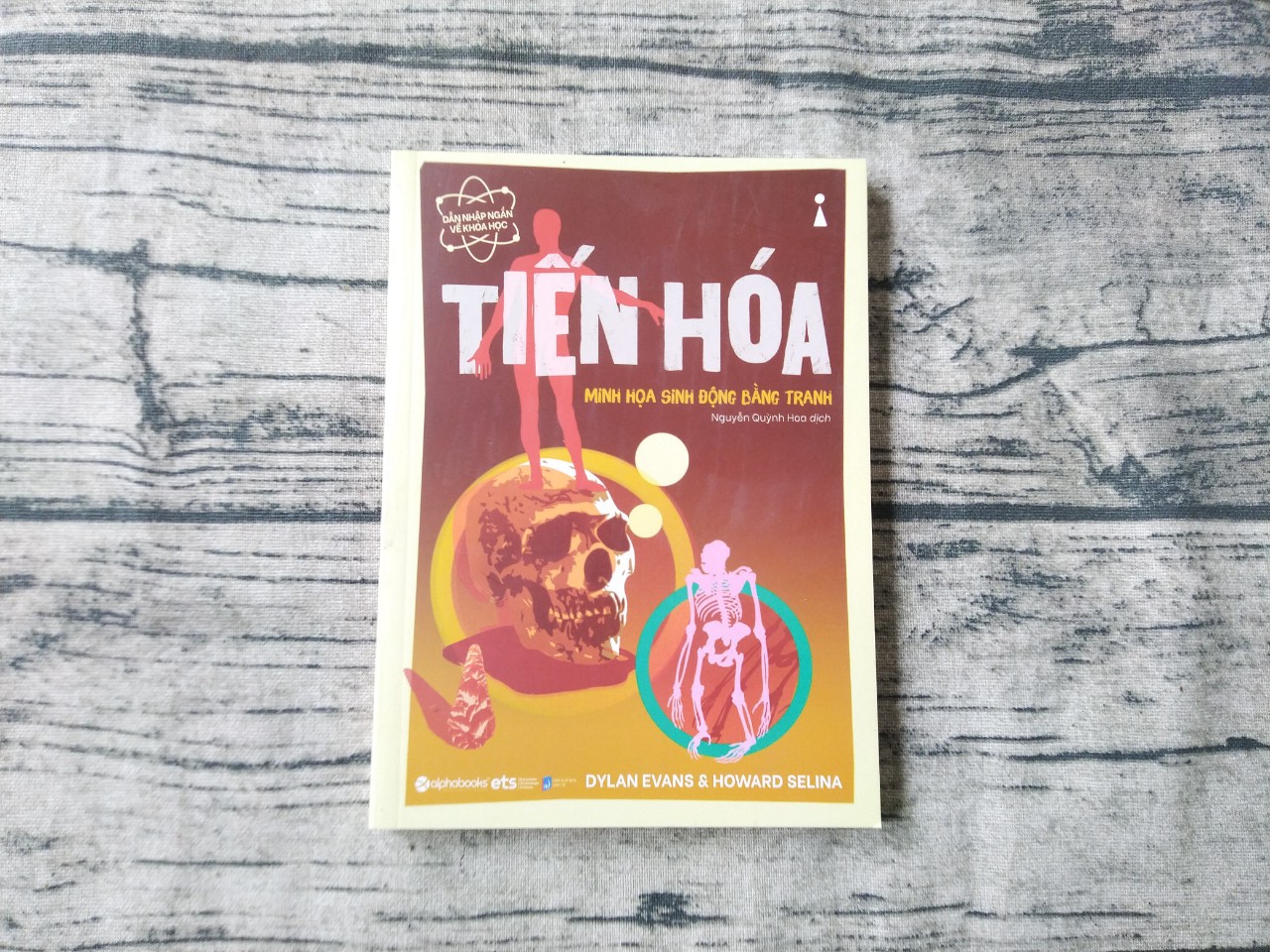 Combo Dẫn Nhập Ngắn Về Khoa Học - Minh Họa Sinh Động Bằng Tranh: DI TRUYỀN HỌC + DI TRUYỀN HỌC BIỂU SINH + TIẾN HÓA + VÔ HẠN + VẬT LÝ HẠT+ TRÍ TUỆ NHÂN TẠO + THỜI GIAN+ STEWPHEN HAWKING