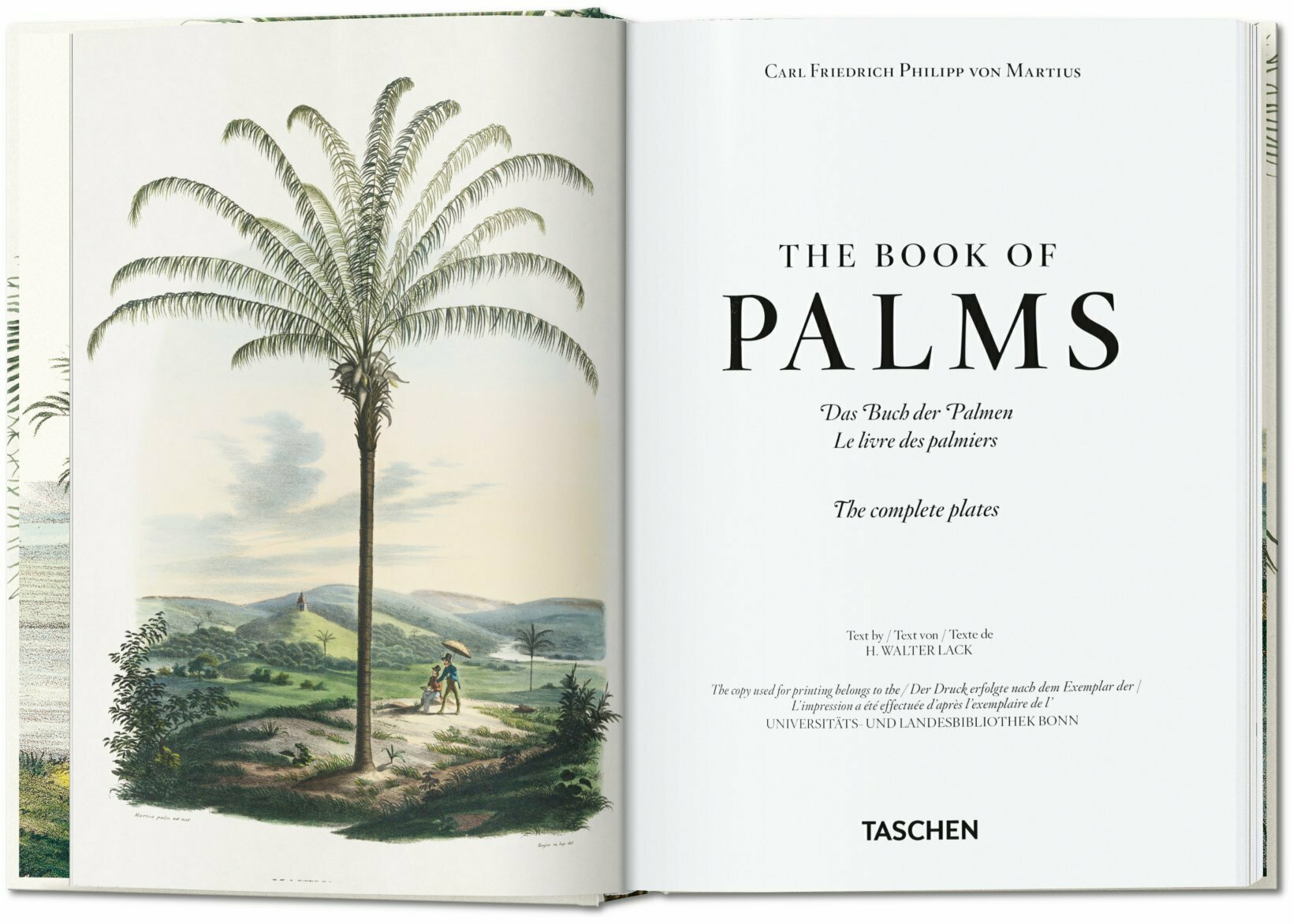 Artbook - Sách Tiếng Anh - Martius. The Book of Palms. 40th Ed.