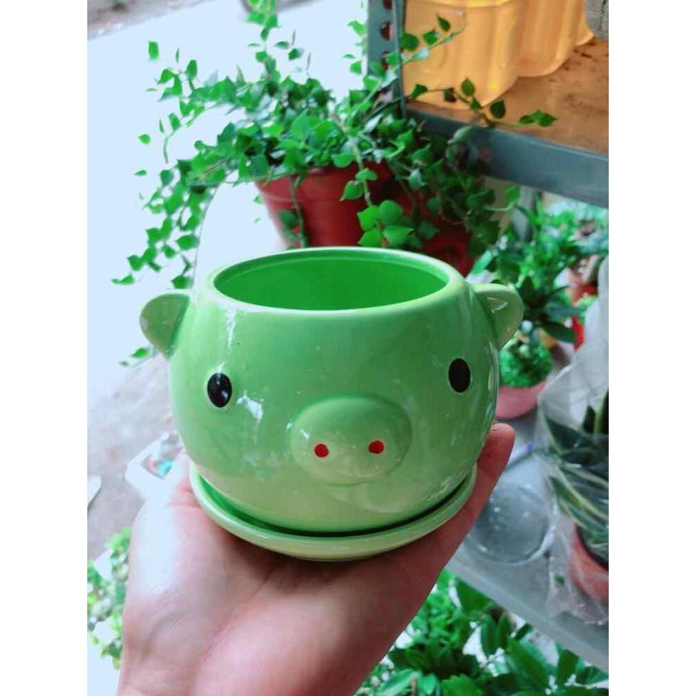 Chậu trồng cây Bán Chạy