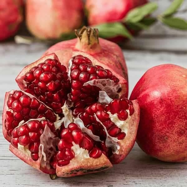 CÂY GIỐNG LỰU ĐỎ PÊ RU .
