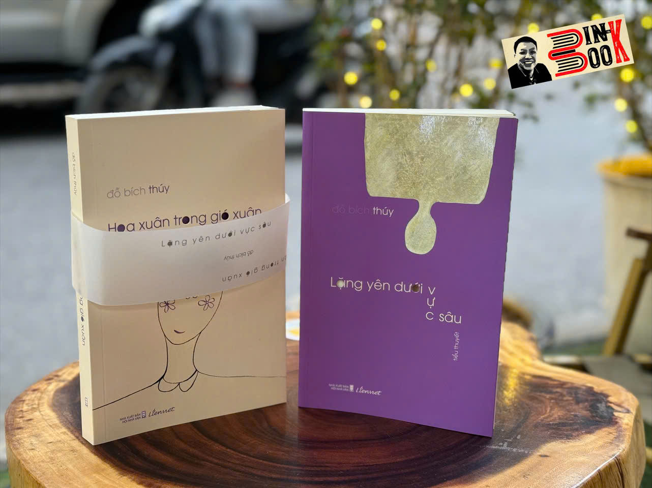 (Combo 2 cuốn - chữ ký tác giả) LẶNG YÊN DƯỚI VỰC SÂU - HOA XUÂN TRONG GIÓ XUÂN - Đỗ Bích Thúy – Liên Việt