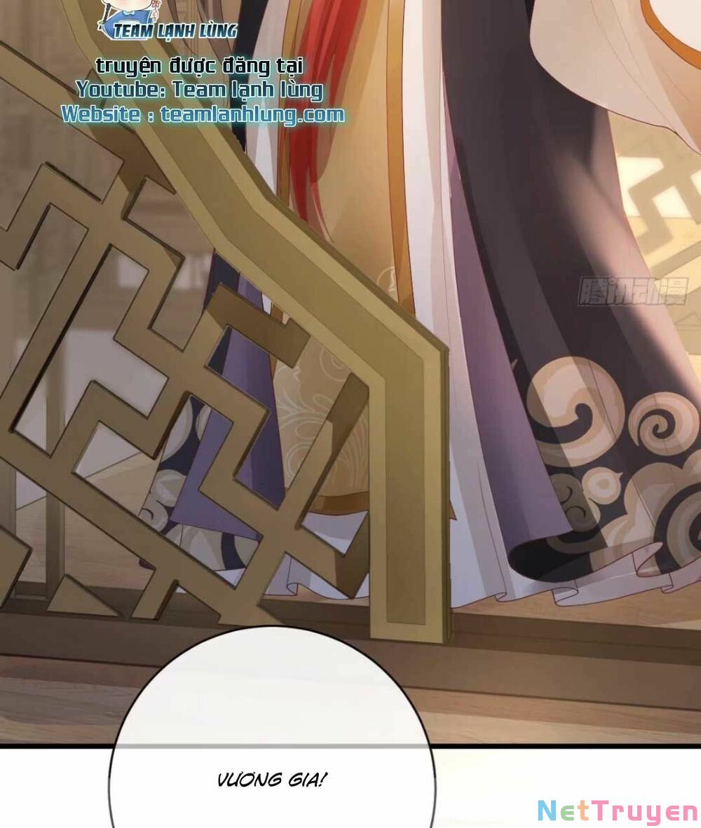 sự trả thù của vương phi chapter 11 16