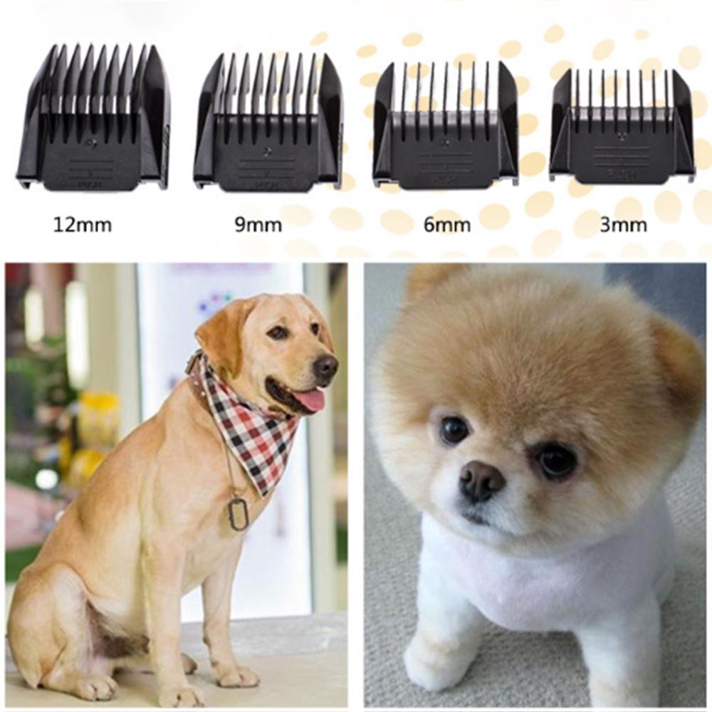 Bộ dụng cụ cắt tỉa lông cho thú cưng chuyên nghiệp