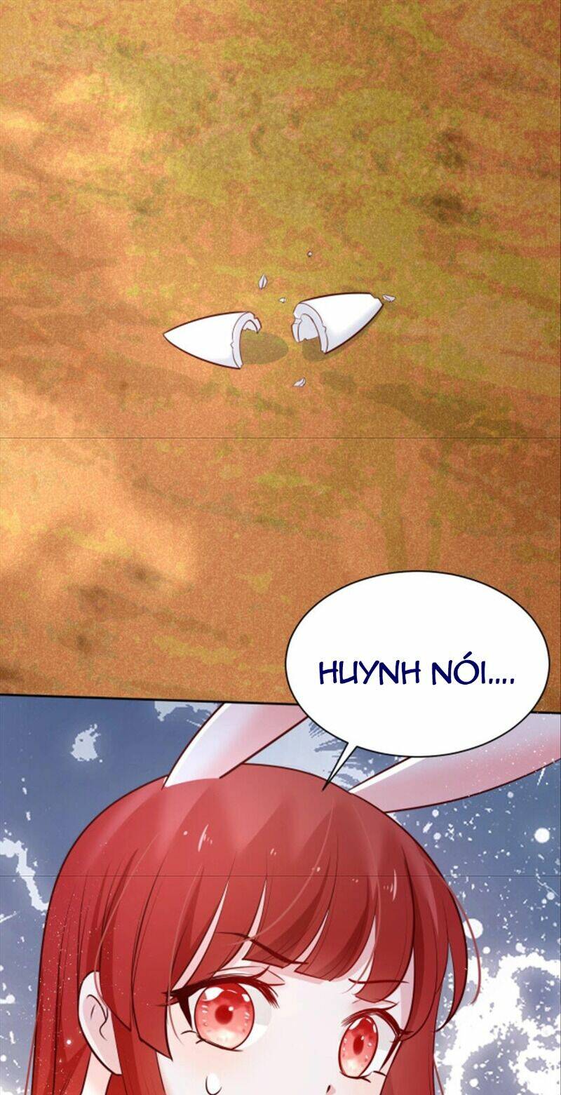 hắc hóa nam chính trực tuyến nuôi thỏ chapter 47 39