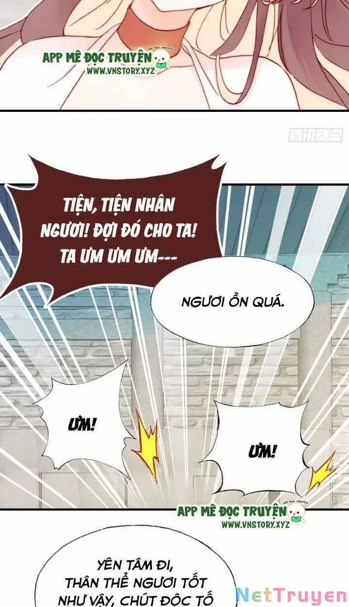 lại bị bệnh chiều chuộng quấn lấy chapter 9 24