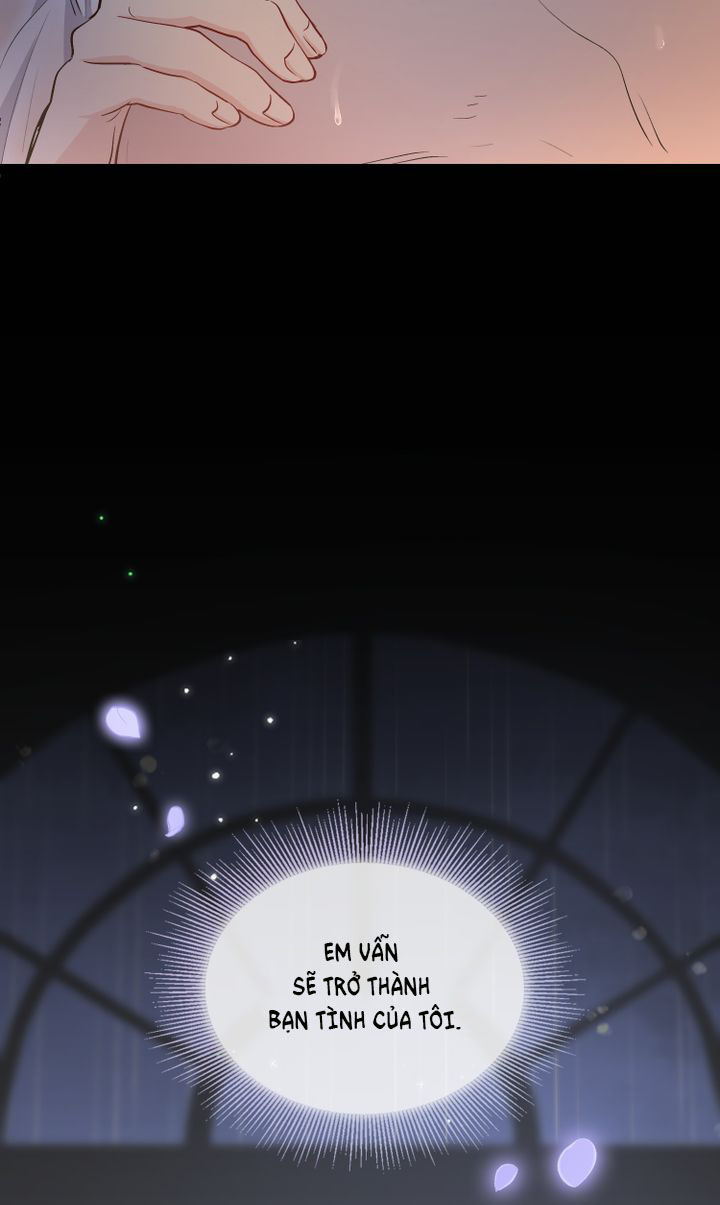 tìm lại nàng camellia chapter 0 11