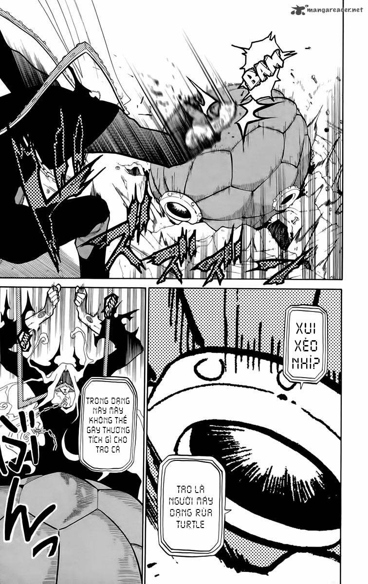 tripeace chapter 19 37