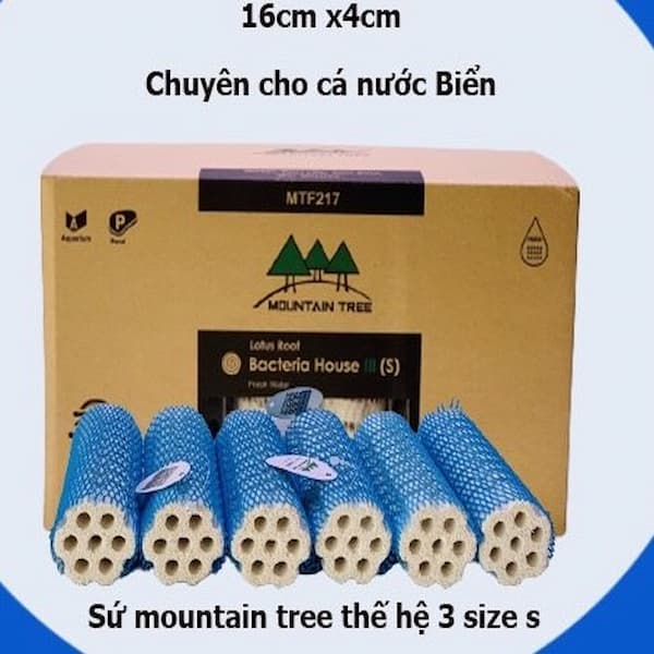 Sứ củ sen thế hệ 3 size nhỏ dành cho hồ nước mặn