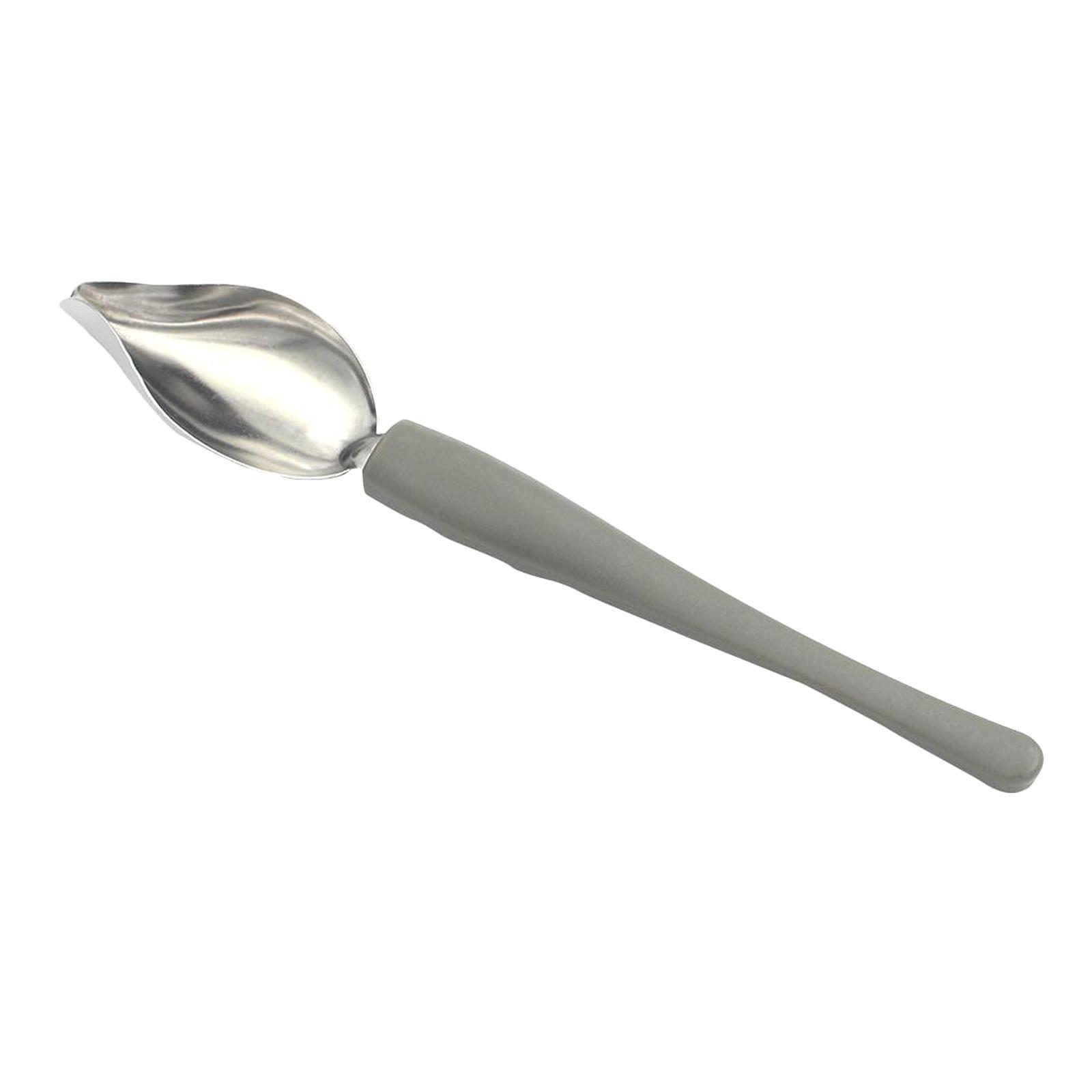Plate Dish Sauce Painting Art Draw Tool Spoon