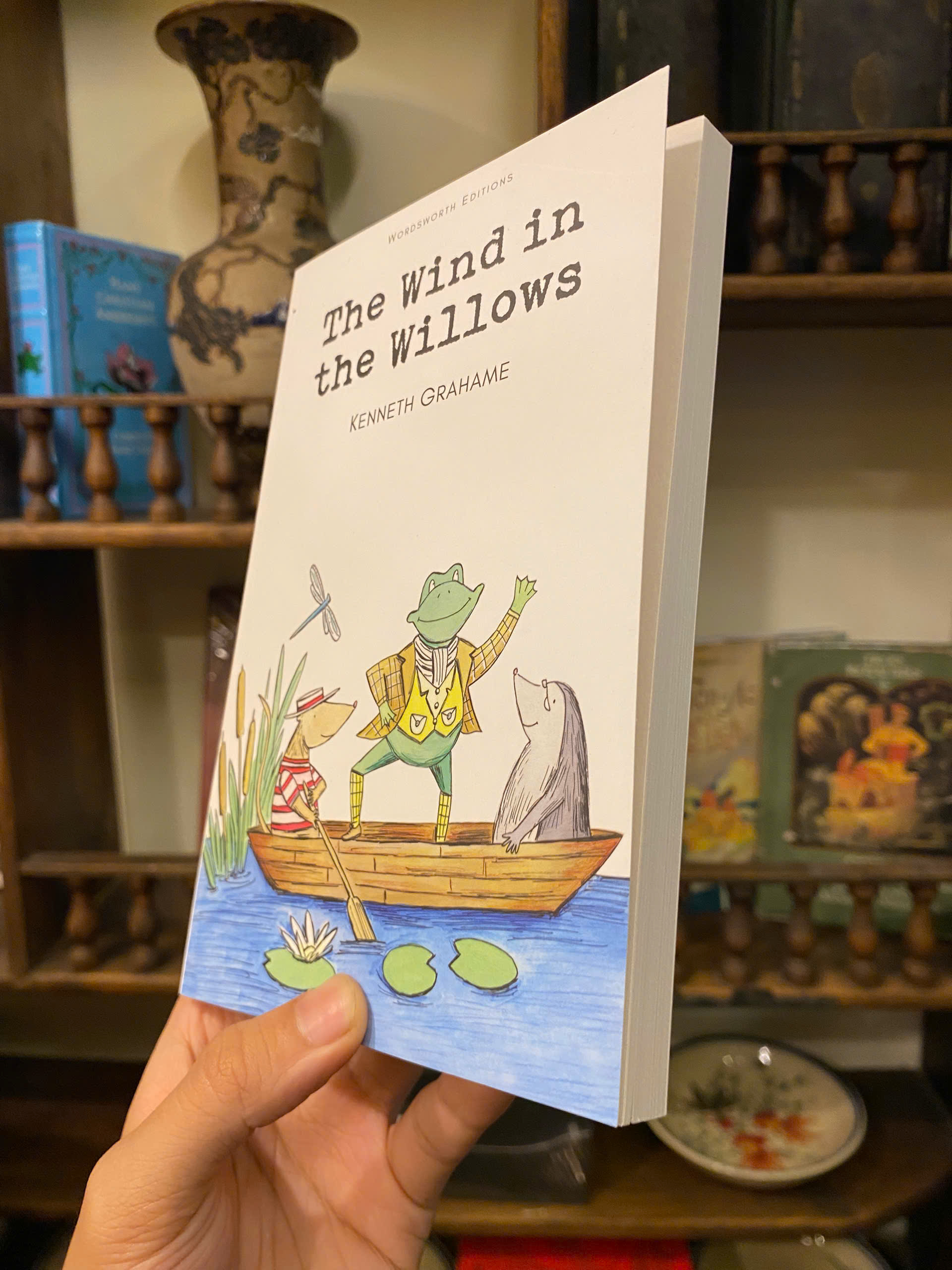 Sách - The Wind in the Willows by Kenneth Grahame - Fiction/Children book in English - Ngoại Văn