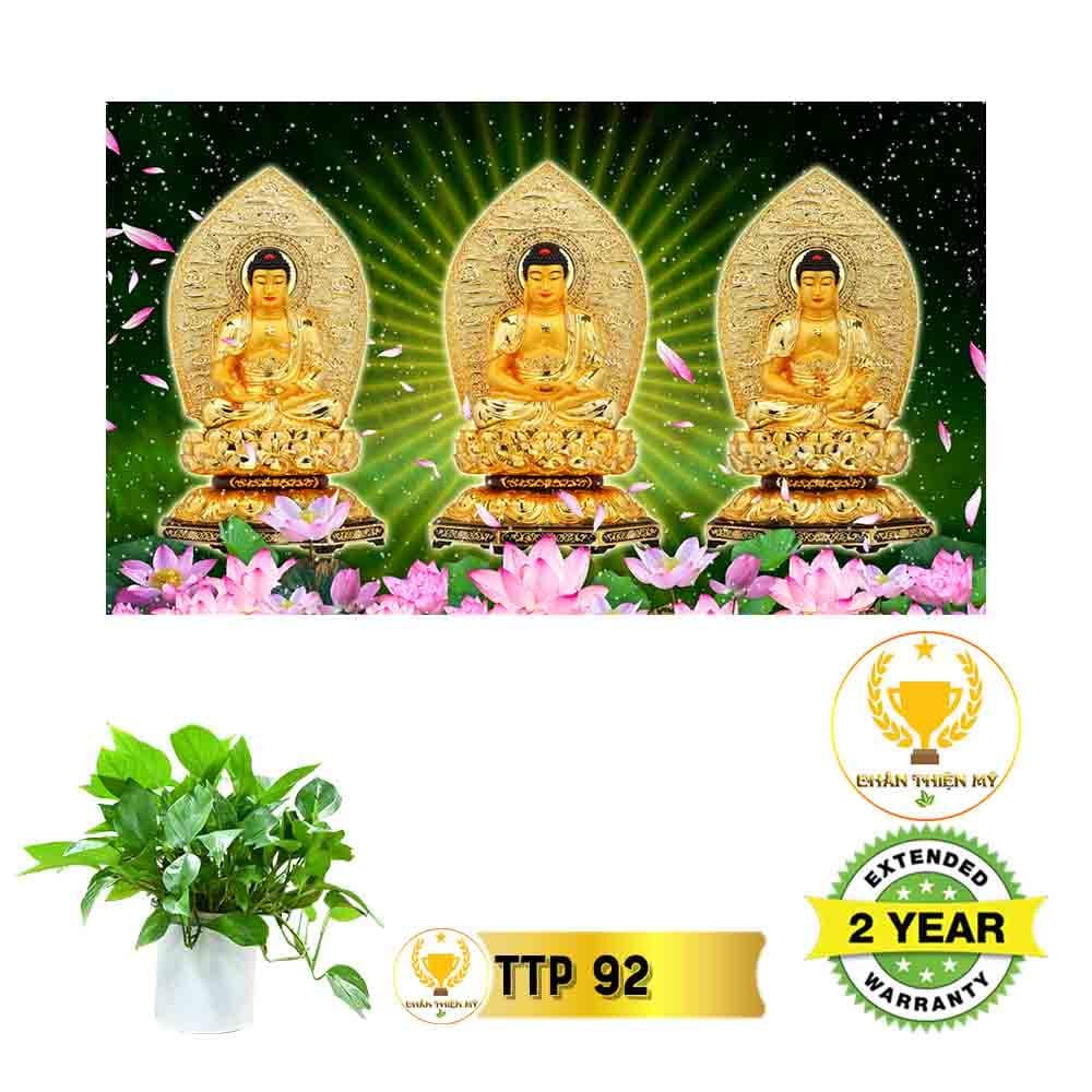 Tranh điện Tam Thế Phật_TTP10