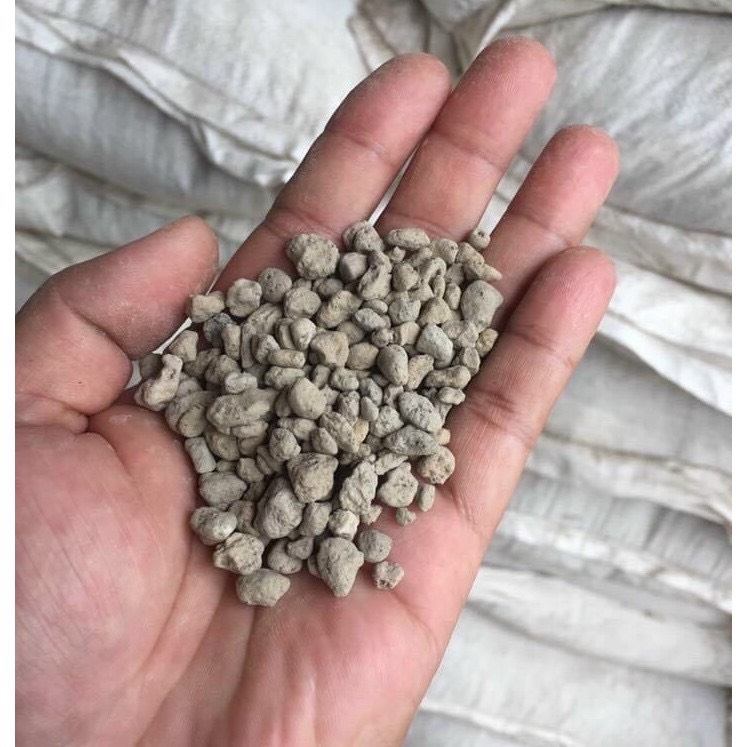 1Kg Đá Pumice Indonesia Full Size - Đá Phủ Mặt Sen Đá, Xương Rồng