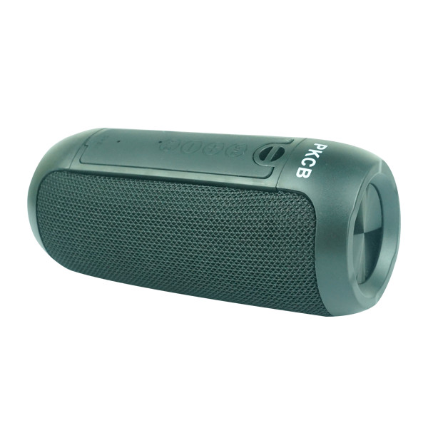 Loa Bluetooth speaker không dây PKCB250 - Hàng Chính Hãng