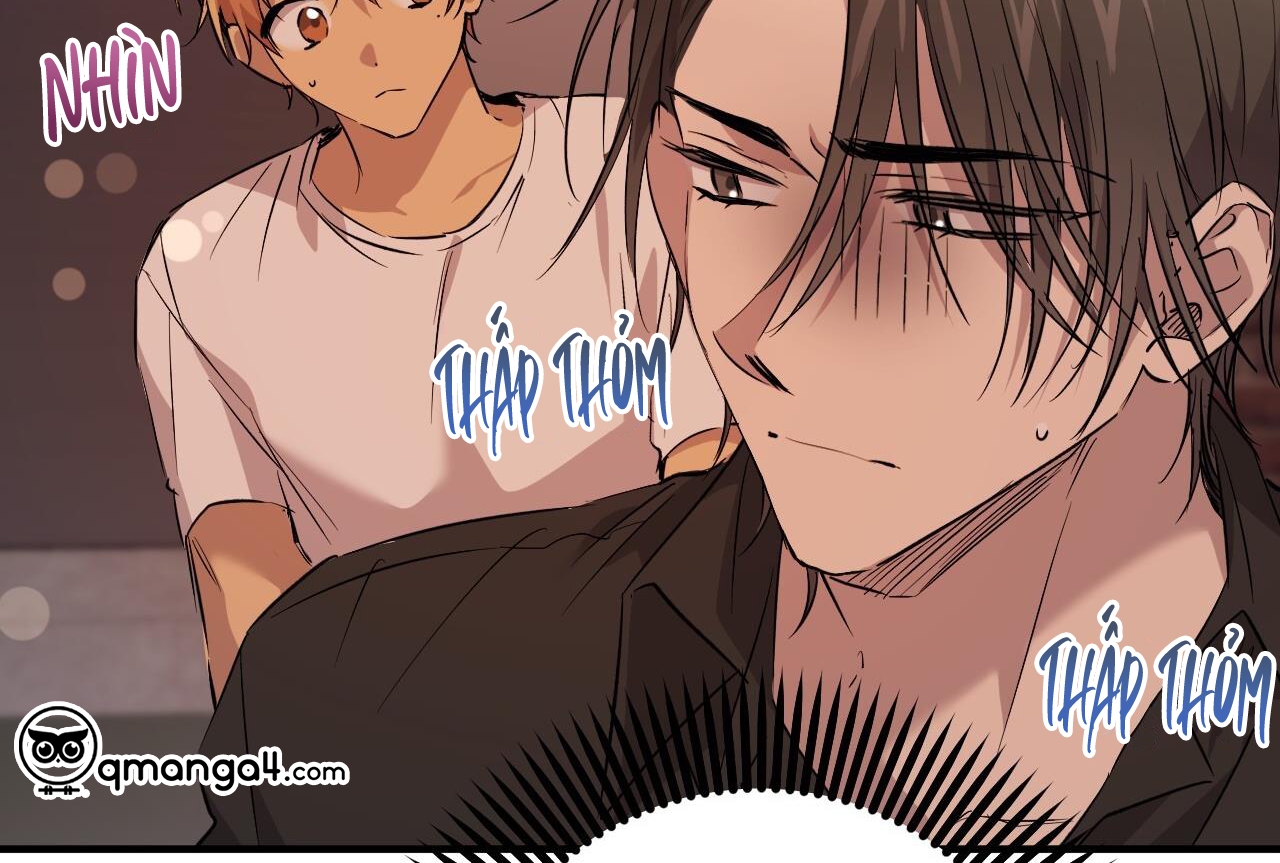 những chú thỏ của hapypy chapter 57 193