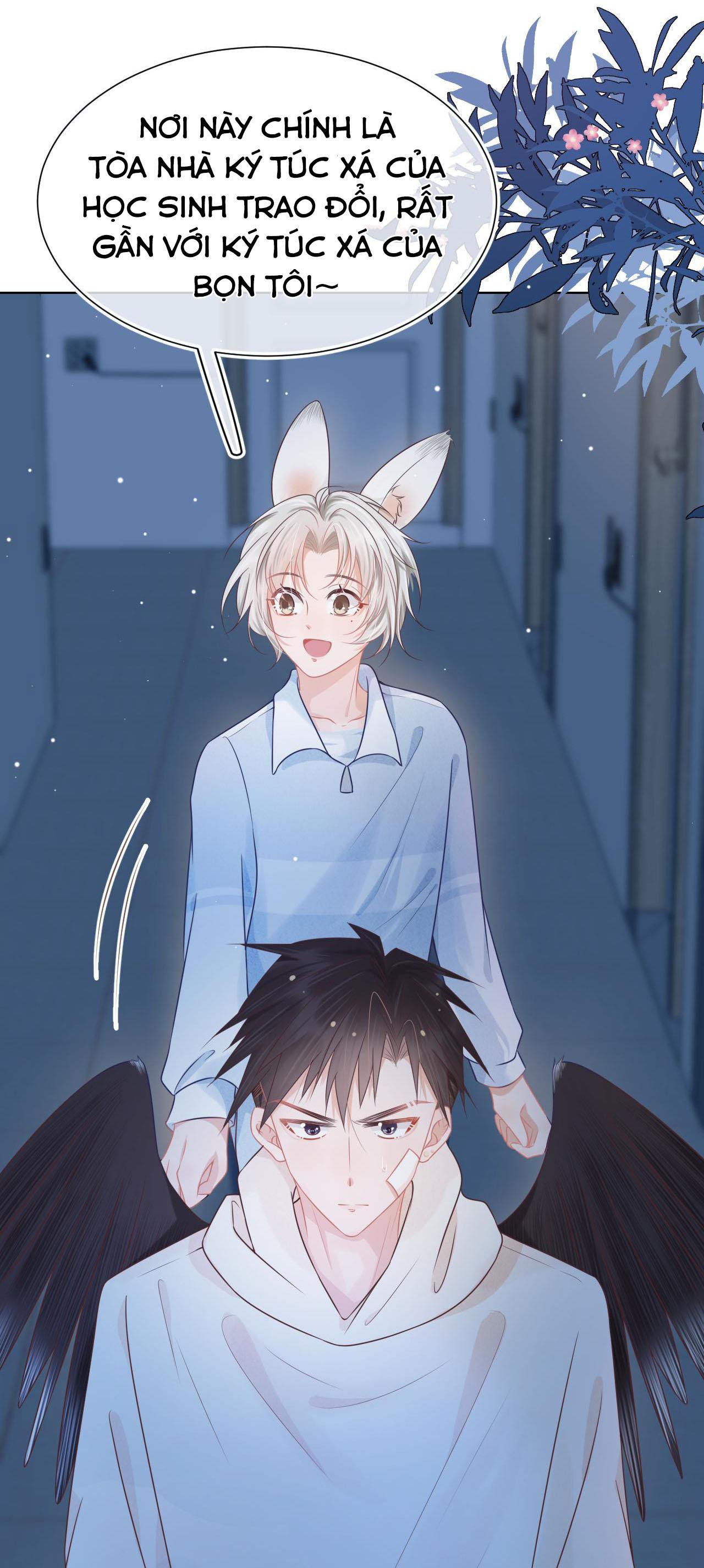 [ss2] một ngụm ăn cả thỏ con chapter 4 11