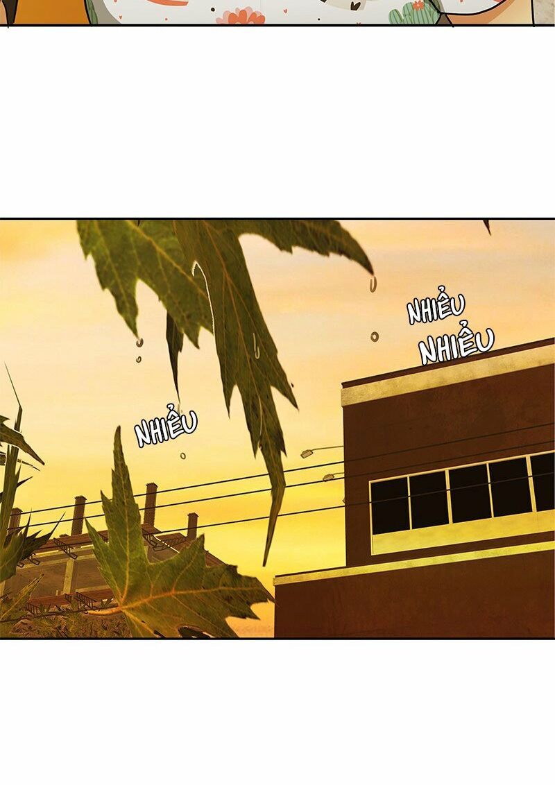 nửa đêm ở poppy land chapter 48 73