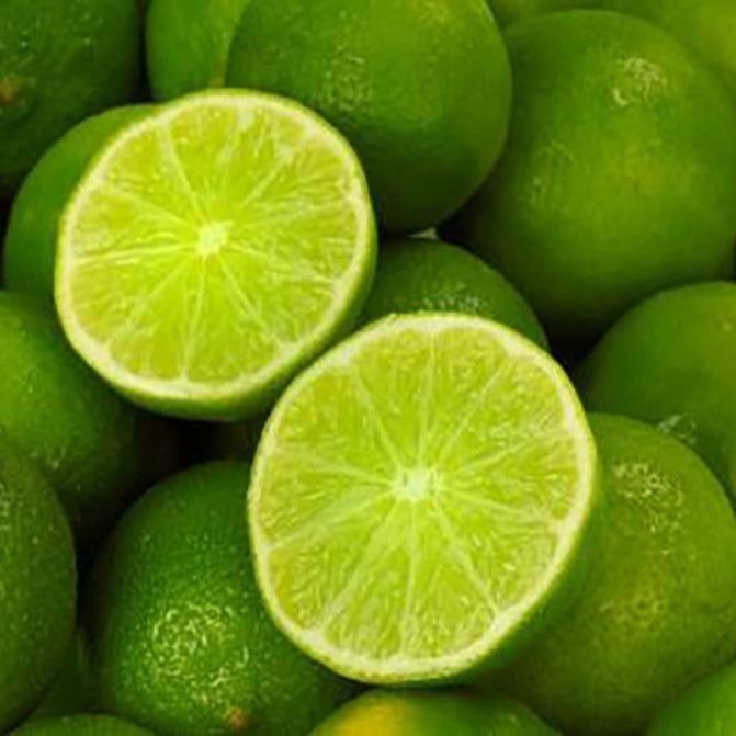 CÂY GIỐNG CHANH KHÔNG HẠT DÒNG QUẢ CHÙM SIÊU NĂNG SUẤT, CAM KẾT GIỐNG CHUẨN