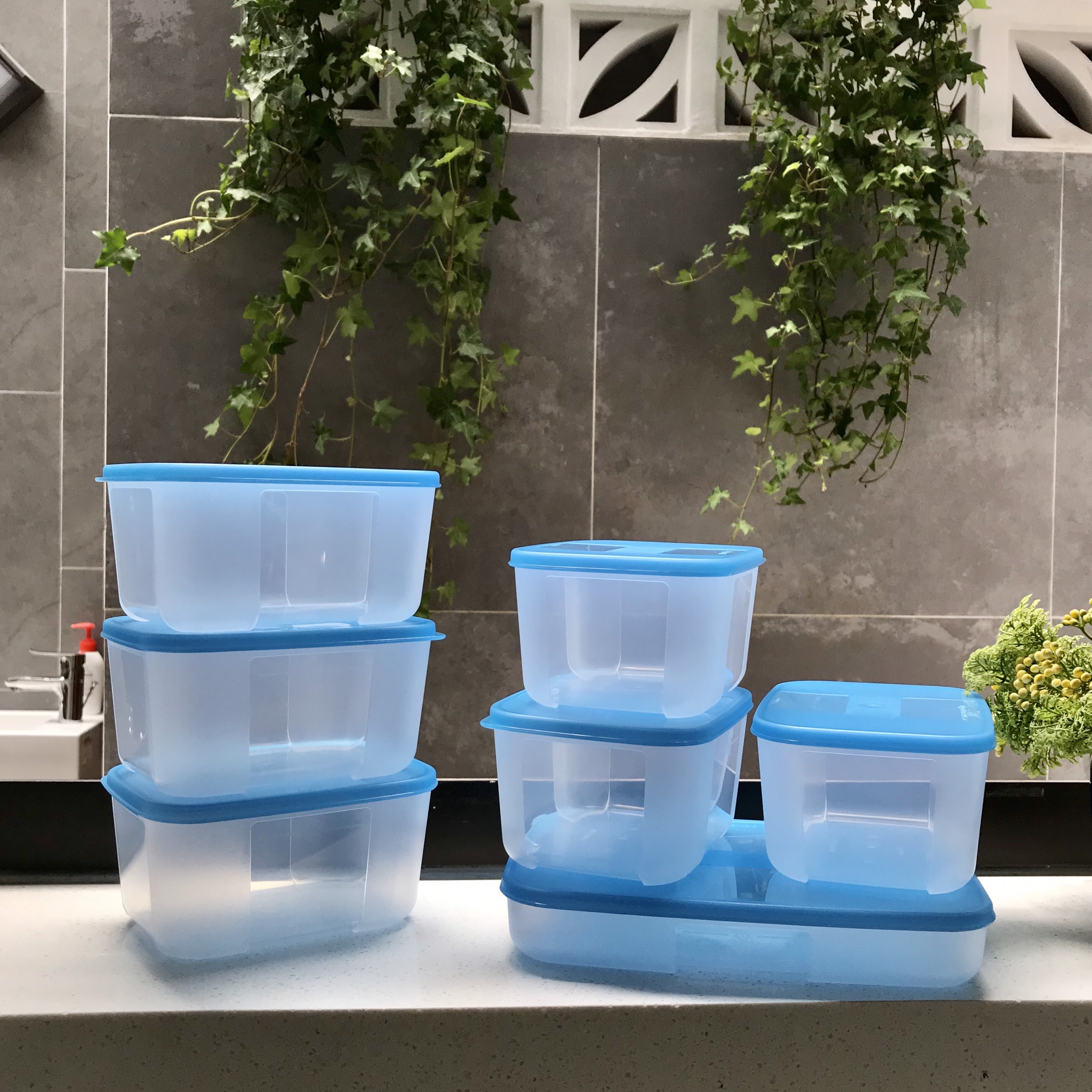 Hộp Trữ Đông Tupperware Freezermate 650ml