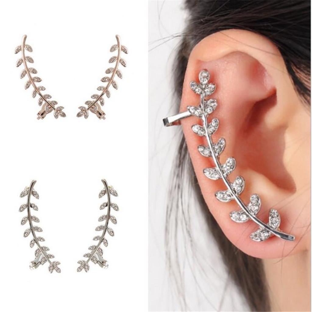 Earrings Ear Studs