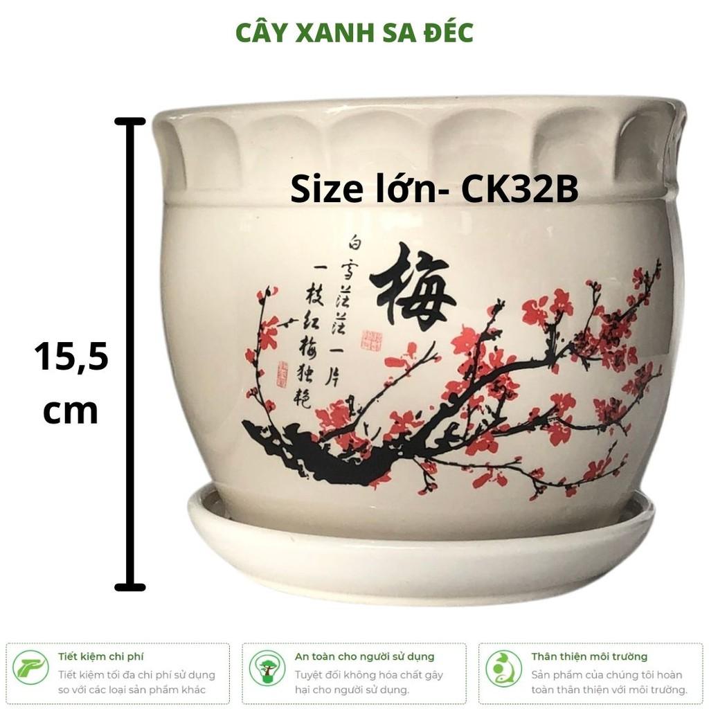 Bộ chậu men Hoa Đào Đỏ CK32 trồng cây cảnh trang trí nhà cửa, ban công, văn phòng, phòng ngủ, góc học tập